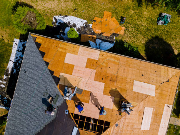 Professional Roofing Contractor in Hazlehurst, MS